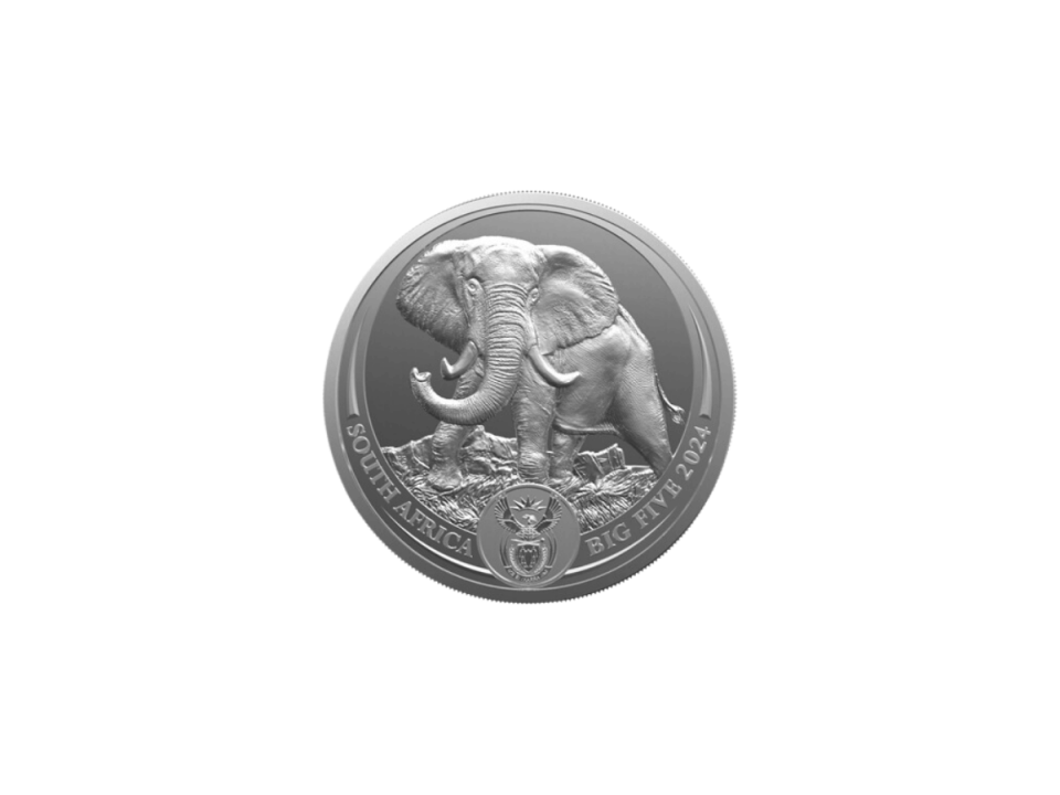 ビッグファイブ ゾウ 地金型銀貨