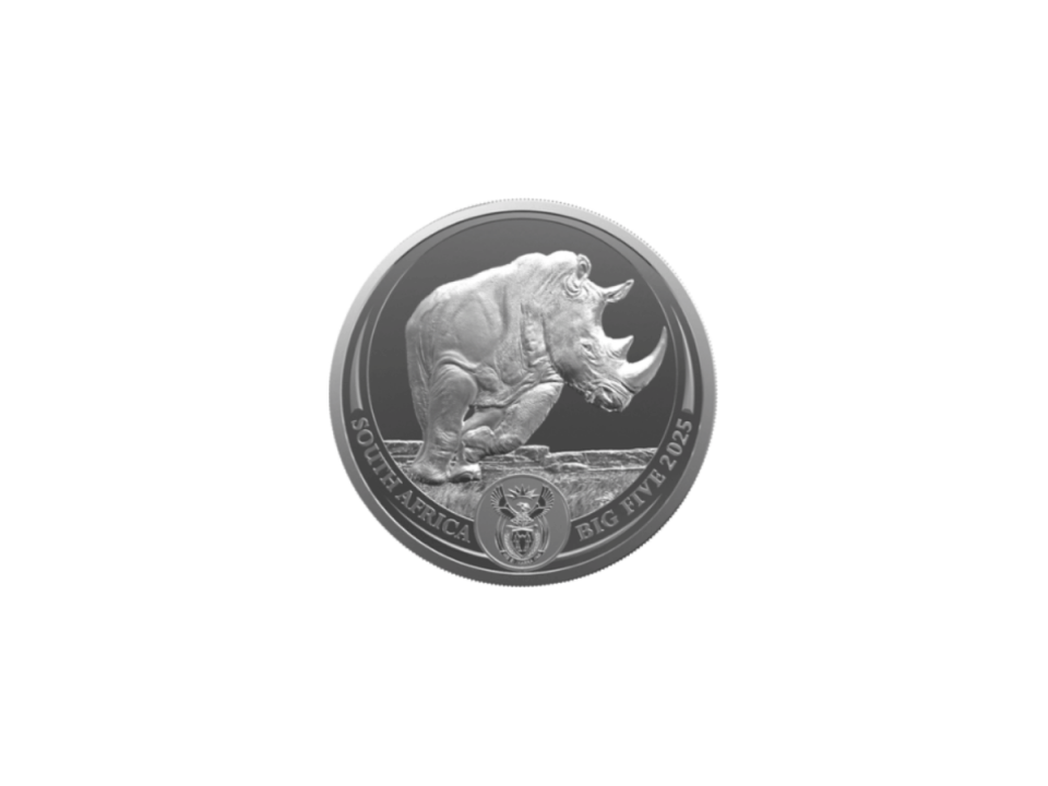ビッグファイブ サイ 地金型銀貨