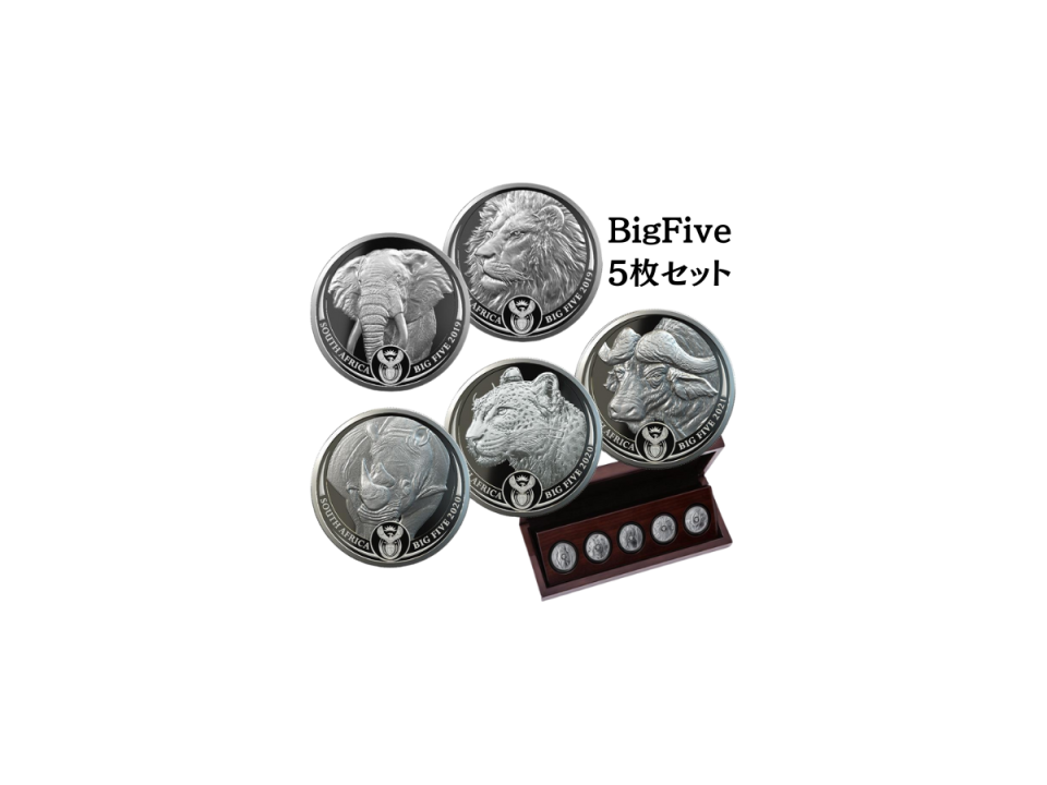 ビッグファイブ 5種コンプリートセット プルーフ銀貨