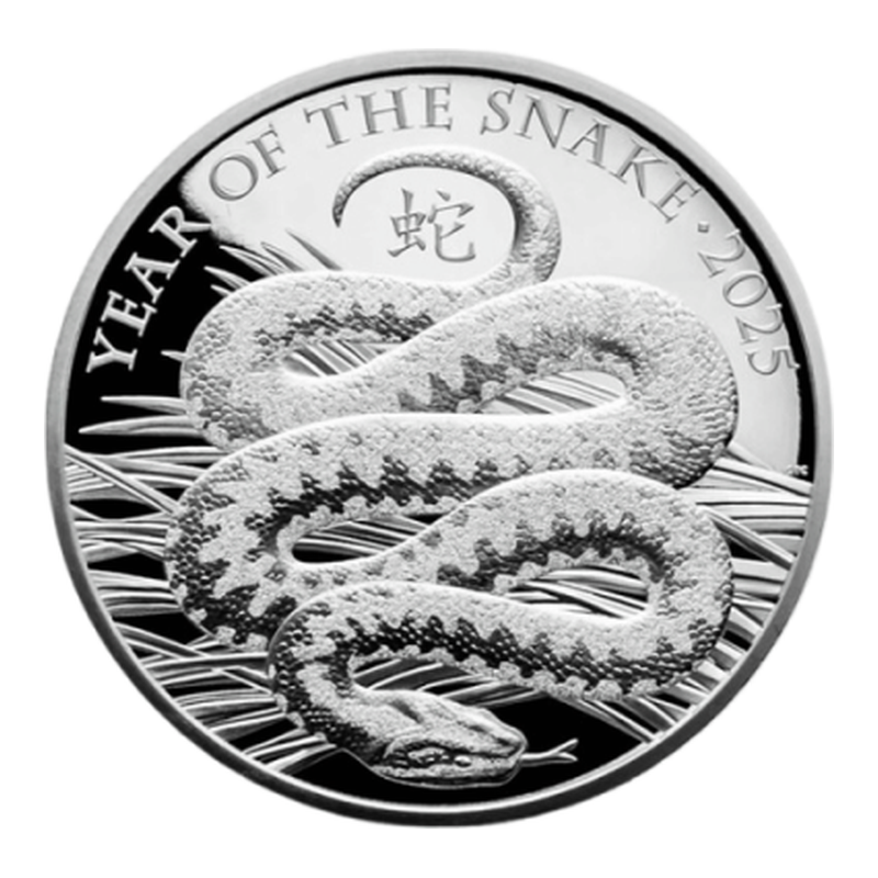2025年 ロイヤルミント 干支 銀貨 巳(へび)